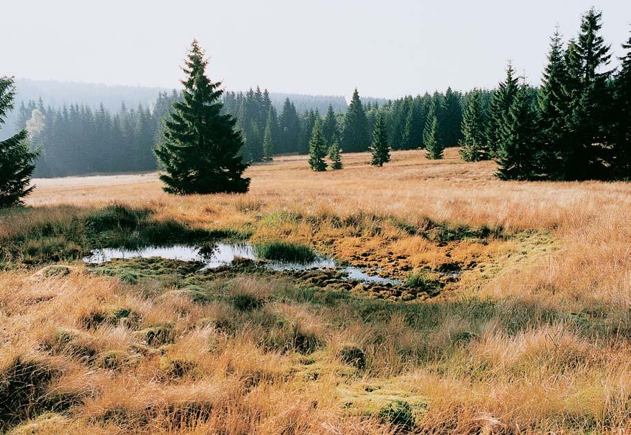 OKRES SOKOLOV CHRÁNùNÁ