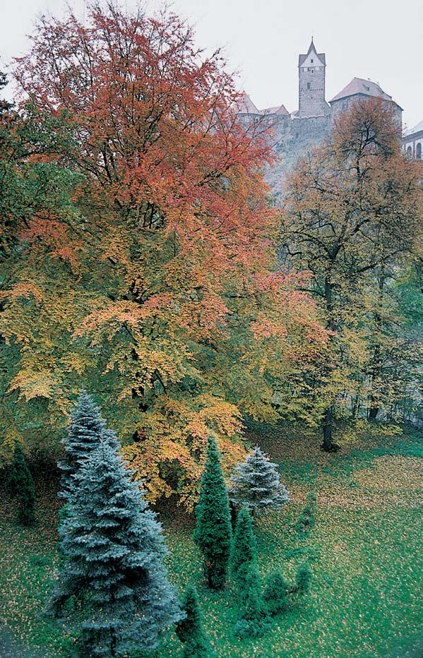 PlzeÀsko a Karlovarsko Hrad Loket. Osídlení Sokolovska má bohatou historii. První nálezy svûdãící o pobytu ãlovûka v Poohfií se datují do prûbûhu stfiedního paleolitu.