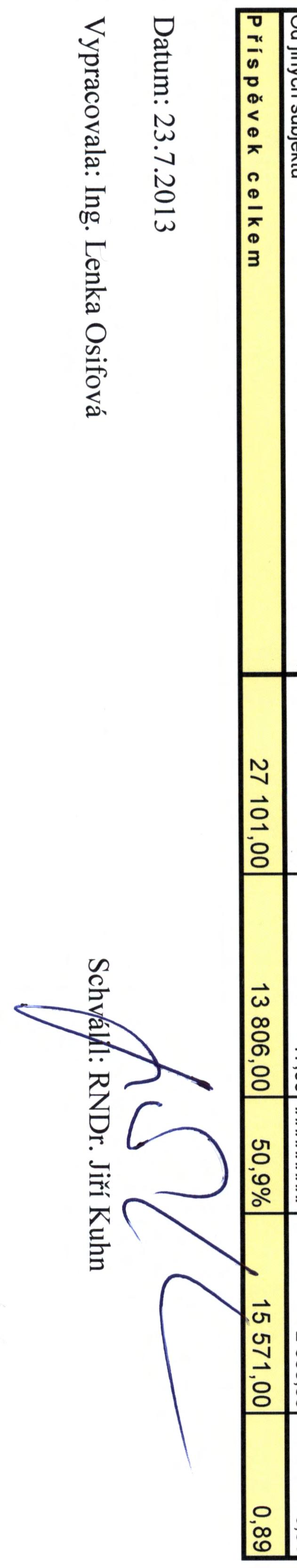 27101,00 13 806,00 50,9% ~ 15 571,00 {_~ 0,89 Vypracovala: Ing.