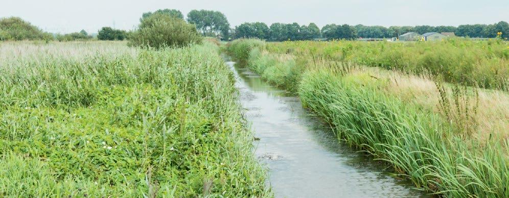 ... pro větší míru bezpečnosti Šachta jako vírový ventil V případě je poprvé použita škrticí šachta z plastu, která svým spodním dílem přímo nahrazuje osvědčenou vírovou techniku.