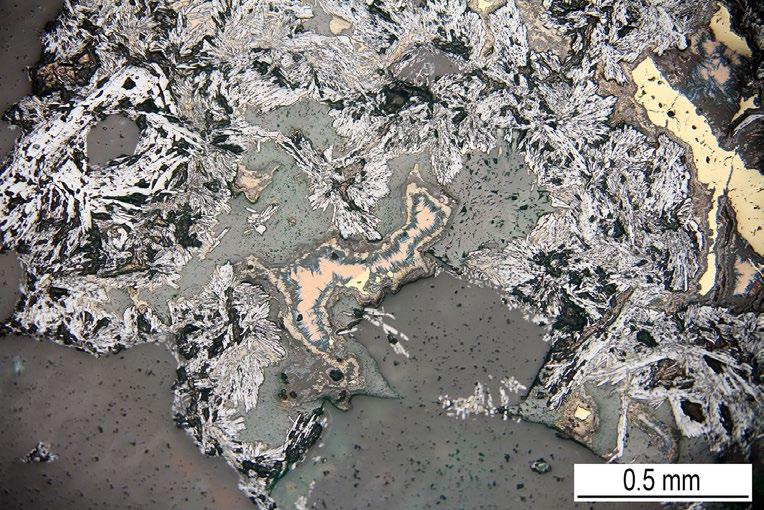 36 Bull Mineral Petrolog 25, 1, 2017. ISSN 2570-7337 (print); 2570-7345 (online) Obr. 5 Lištovité shluky hematitu (světle šedý) v křemeni (šedý) s uzavřeným bornitem (narůžovělý) a covellínem (modrý).