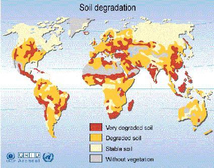 formy degradace půd: - desertifikace - deforestace - eroze - kontaminace půdy z