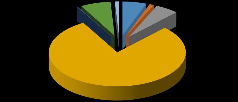 0% 7% 1% 80% 6% 1% 5% materiál energie služby osobní náklady ostatní náklady odpisy majetku drobný dl.majetek Graf. č. 14 Podíl jednotlivých složek nákladů 3.5.1 Zakázky v rozsahu nad 100 tis.