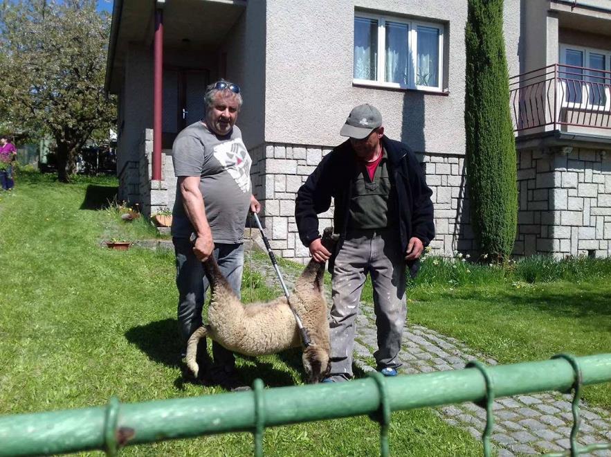 policie o pomoc ve vyhledání dvou dívek. Hlídka městské policie tyto dívky našla v jednom z kontrolovaných restauračních zařízení. Poté byly dívky předány pracovnicím sociálně - právní ochrany dětí.