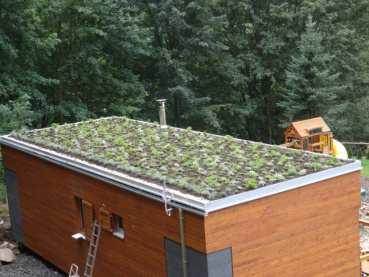 krytina Zelená střecha 4
