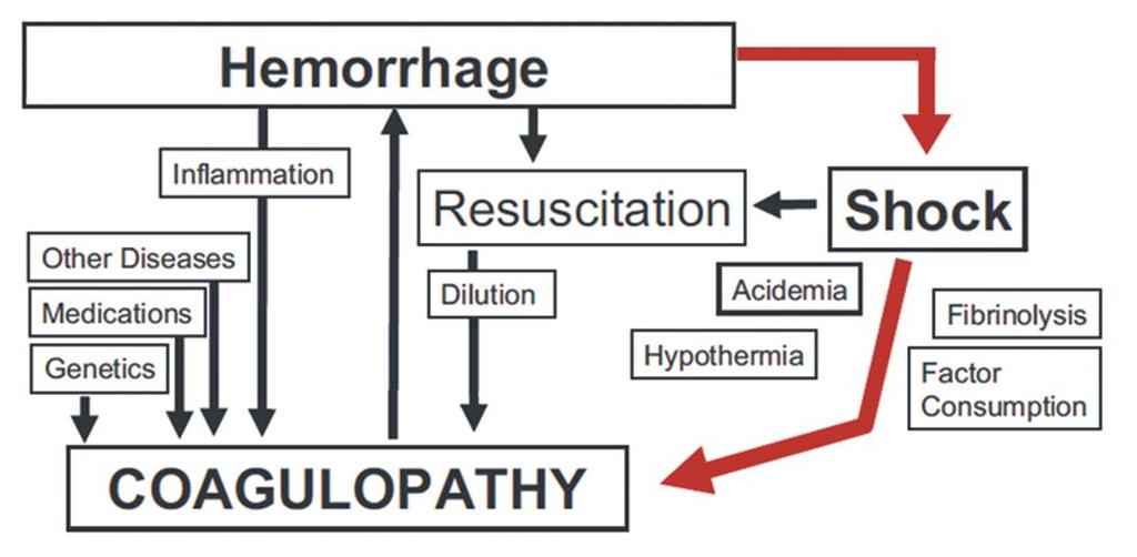 Consumption Adaptováno z Hess et al. J Trauma.