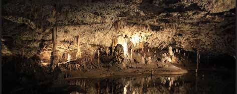PUNKEVNÍ JESKYNĚ 10 1 Suchá část jeskyně vede krápníkovými prostorami na dno propasti Macochy (hloubka 138,5 m). Odtud návštěvníci plují zpět na motorových člunech po podzemní říčce Punkvě.