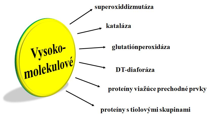 Sú prítomné v cytosole (hydrofilné) a v membránach