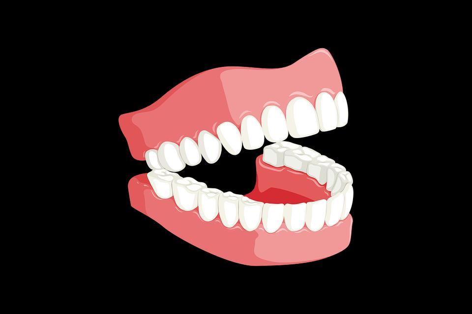 Trávicí systém vypadávání zubů Zhoršení žvýkací funkce Snížená sekrece slinných žláz, žaludeční a pankreatické šťávy a pravděpodobný pokles