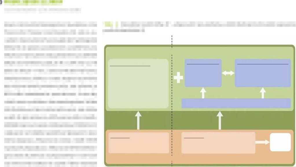 PŘEHLEDOVÉ ČLÁNKY současné možnosti léčby atopického ekzému Atopic Dermatitis Management Guidelines Into Practice for Primary Care Providers (5).