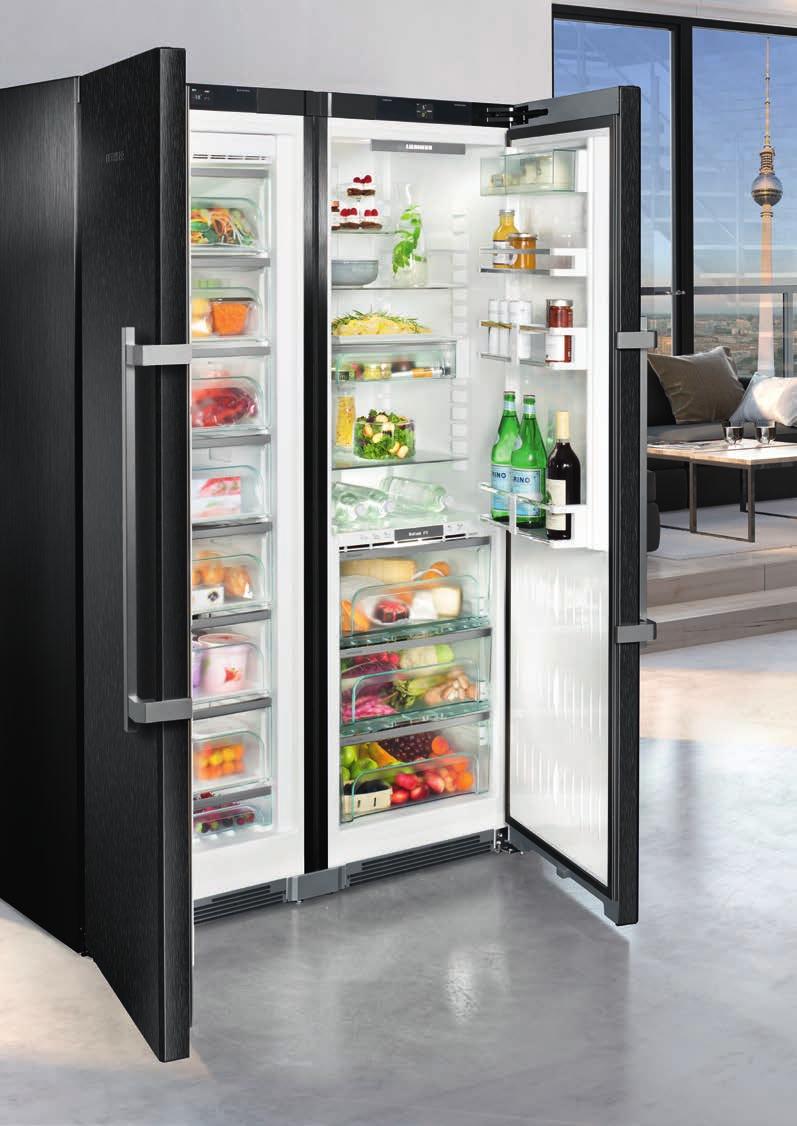 Elegantní a nadčasový design chladniček řady BluPerformance zaručuje, že se z nich stane střed pozornosti každé domácnosti.