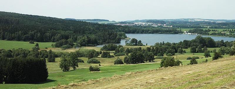 dvouhrotec bahenní (Dicranum bonjeanii), srpnatka mnohosnubná (Drepanocladus polygamus), krondlovka netíkovitá (Fissidens adianthoides), měřík vyvýšený (Plagiomnium elatum), měřík prostřední (P.