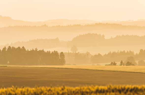 3 4 Telč Hrad Roštejn Telč Délka: 23 km, 2 hodiny Převýšení: 274 m Vede přes cyklotrasy a silnice: Telč Volevčice Vanůvek Doupě hrad Roštejn Řídelov Řásná Vanov Lipová alej - Telč Golf resort Šiškův