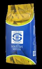 S prémiovými osivy kukuřice SOUFFLET SEEDS získáte nejen kvalitní a vysoce výkonné hybridy, ale i velice široký a kvalitní servis po dobu celé vegetace tak, abychom Vám pomohli k co nejvyšším