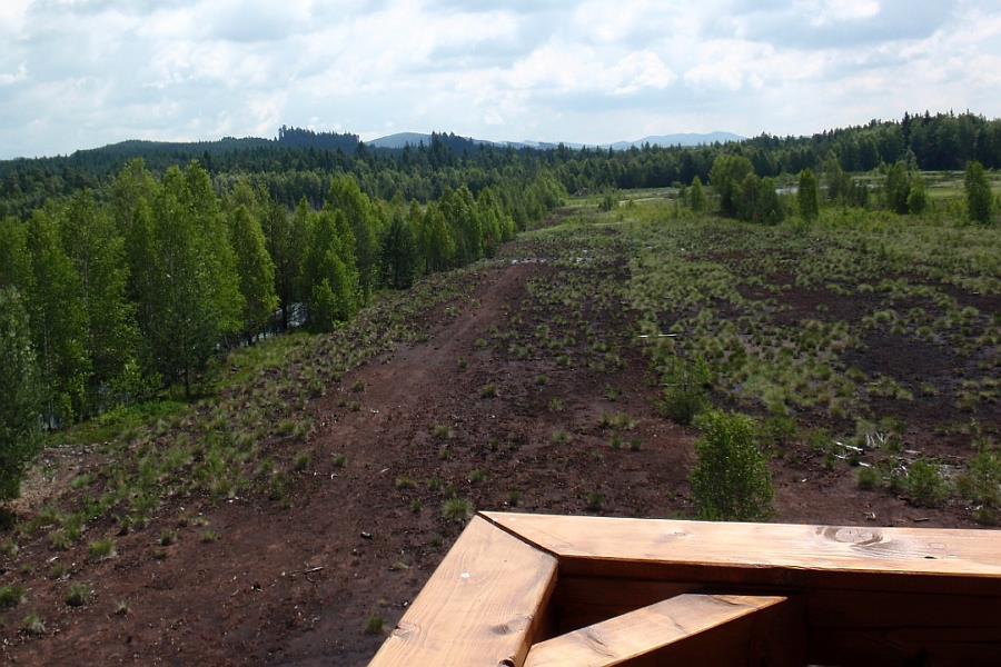 Obrázek 7 Pohled na revitalizované Soumarské rašeliniště (http://rozhledny2.webzdarma.cz/soumar13.