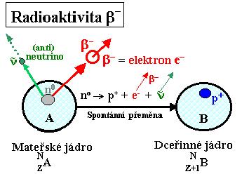 přímými účinky na atomy látku ionizují. Do této skupiny řadíme záření gama (γ), rentgenové a neutronové.