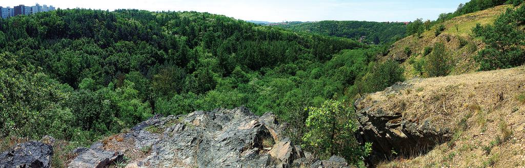 suchdolské terasy Vltavy, je v tìchto místech tekla ve spodním pleistocenu, v donauské dobì ledové asi pøed jedním a pùl a dvìma miliony let.