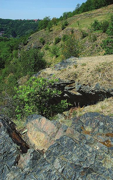 Geologický vývoj Bohnického údolí 5 6 7 2 5 Bøidlice a droby tvoøí podlo í celého území. 6 Pohled od východu na nìkolik výrazných skalních výchozù proterozoických bøidlic a drob.