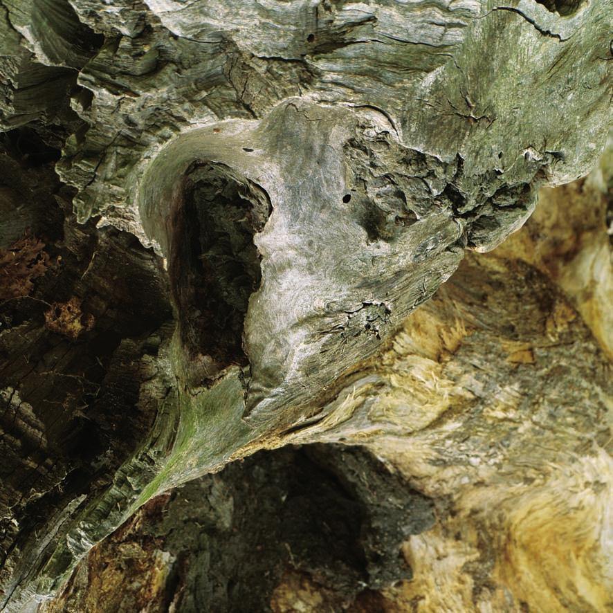 2008