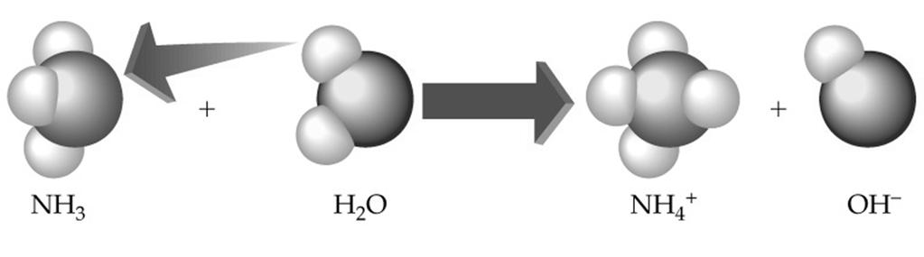 Brønsted - Lowryho slabé baze NH 3 (aq) + H 2 O(l) NH 4+ (aq) + OH (aq) Rovnovážná konstanta protonace baze vodou = ionizační (disociační)