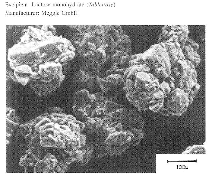 Teoretická část monohydrát α laktózy velmi často používá v kombinaci s mikrokrystalickou celulózou, což zkracuje dobu rozpadu a zvětšuje pevnost tablet.