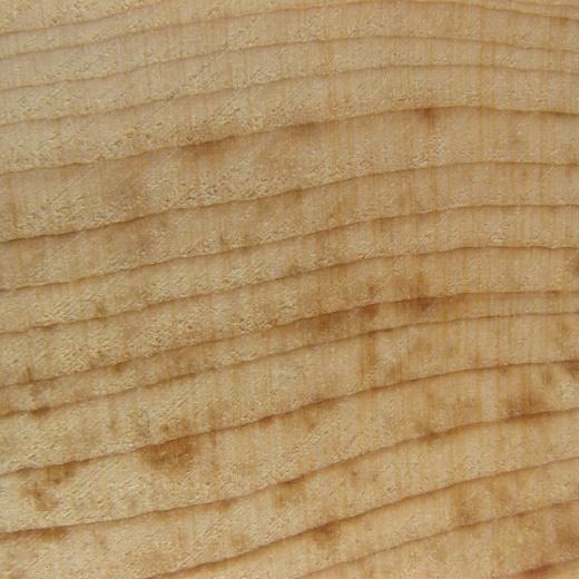 8 Výsledky 8.1 Popis makroskopické stavby dřeva Zkoumané dřevo zeravce východního patří mezi dřeva jehličnatá jádrová. Běl je úzká, téměř bílá, někdy nažloutlá. Její šířka se pohybuje od 5 do 13 mm.