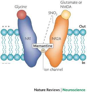 2) NMDA antagonisté omezení excitotoxicity GLU memantin