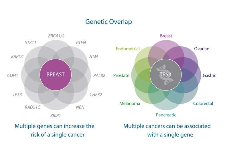 Genetická heterogenita jedno onemocnění více různých genetických příčin jeden gen- více různých