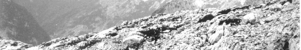 vysokohorského planinového krasu v Julských Alpách vzniká táním snhu, v