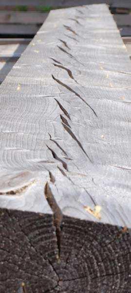 okraji lesa svalovité dřevo dřevo, které