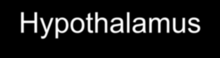 Hypothalamus funkce ncl. suprachiasmaticus centrum cirkadiálních rytmů ncl. supraopticus + paraventricularis (magnocelulární neurony) ADH (vazopresin) + oxytocin ncl.