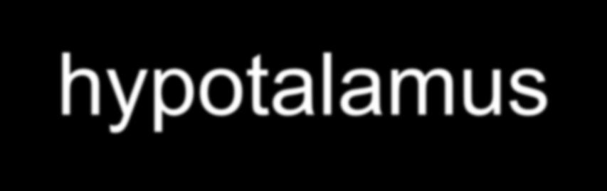 Střední hypotalamus = tuberální hypothalamus (tuber cinereum) ncl. infundibularis = ncl. arcuatus statiny a liberiny ncll.