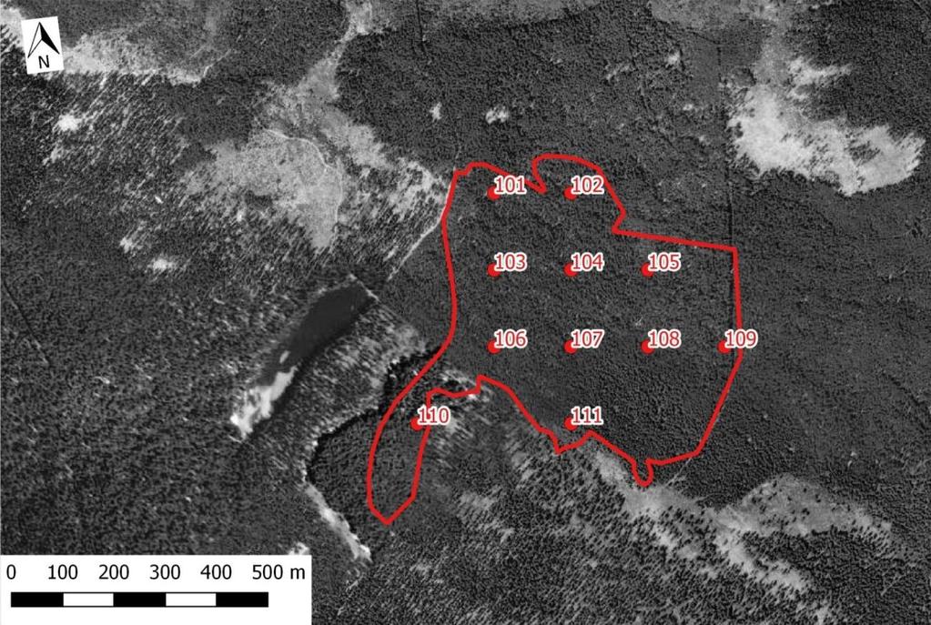 Mapa 5. Ortofotomapa z padesátých let 2. století s vyznačením zájmového území (červený polygon) a monitoračních ploch (červené body).