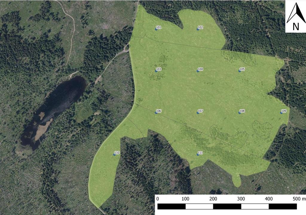 Obrázek 1. Zájmové území s vyznačenými středy ploch. Zelenou barvou jsou označené porostní skupiny, které ohraničují zájmové území.
