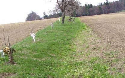 urychlující odtok Opatření zamezující vodní erozi: travní pásy,