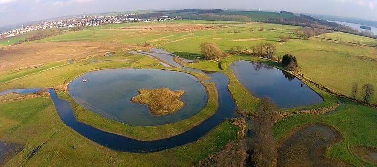 biodiverzity Posílení přirozených funkcí