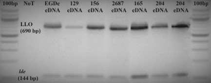 aeruginosa) koexistence (aerobní bakterie/anaerobní bakterie) kompetice - boj o živiny, produkce toxických látek, změna ph reakce signálních molekul systému quorum sensing HGT