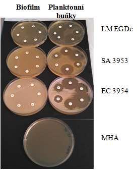 Obr. 4. Mueller - Hinton Agar No.