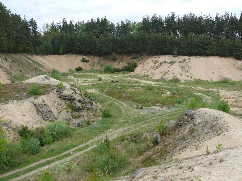 Suchozemské biotopy ropuchy krátkonohé - otevřená krajina nelesní stanoviště - zásadní je přítomnost obnažené půdy - vadí zárůst, stejně jako u tůní - vadí i