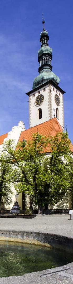 Organizační výbor Ing. Jiří Horecký, Ph.D., MBA, prezident APSS ČR Ing. Jiří Herman, MBA, předseda spolku Pramen podpory Ing. Mgr. Alice Švehlová, výkonná ředitelka APSS ČR PhDr.