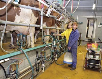 Žáci mohou (dle zvoleného oboru) během studia získat zdarma řidičské průkazy na traktor, osobní i nákladní automobil. Naučí se svařovat jak plamenem, tak elektrodou a získají svářecí průkaz.