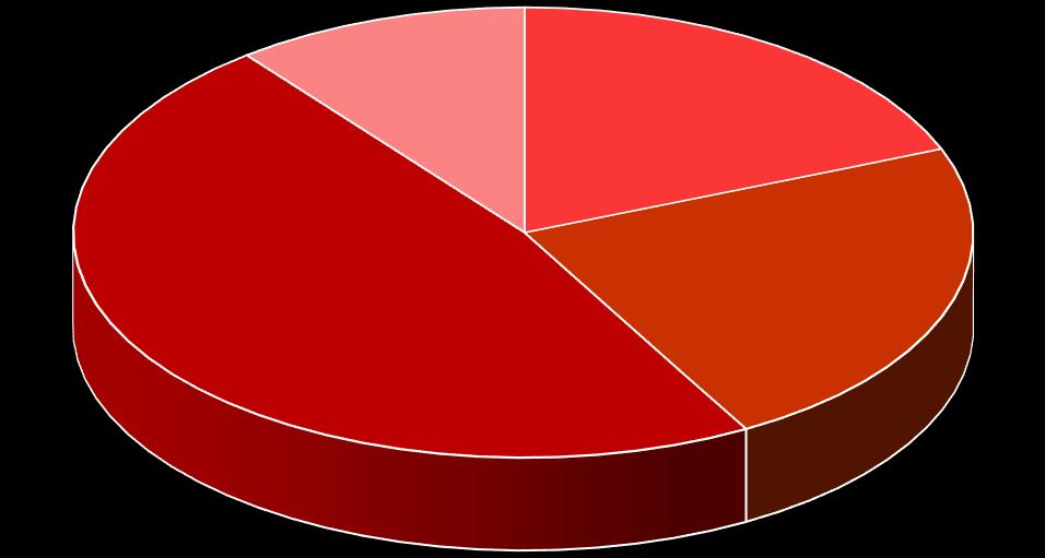 přítomnost zlomenin 88% Vitalita