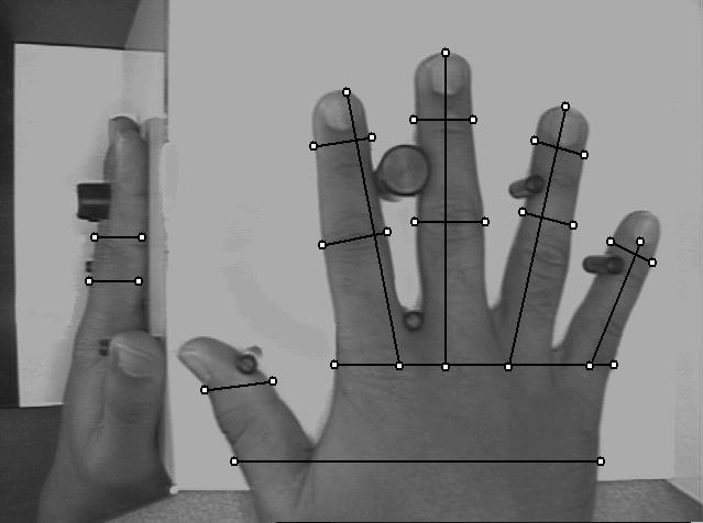 Geometrie ruky / prstů Nevýhody: proměnné v čase (změna váhy, dospívání) nízká variabilita
