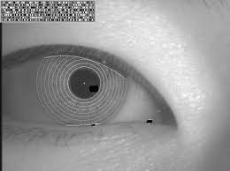 Obraz duhovky (iris scan) srovnává se jedinečný vzor oční duhovky ČB kamera ze vzdálenosti 20-30 cm