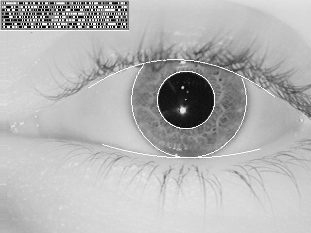 Obraz duhovky (iris scan) Nevýhody: funguje pouze na krátkou vzdálenost problémy s snímáním při očních chorobách