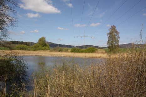 rybníka Souška, rekonstrukce