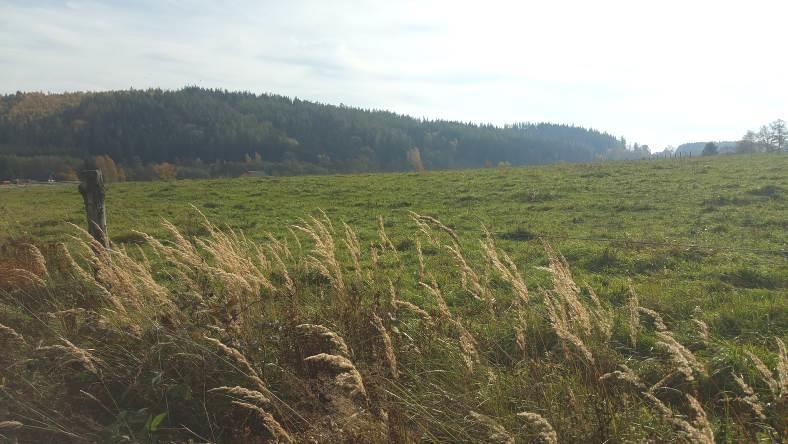 využitelnost této plochy předmětem ochrany PO Jeseníky chřástalem polním je proto z tohoto důvodu velmi omezená. Na uvedené ploše ani v bezprostředním okolí není výskyt chřástala polního udáván.