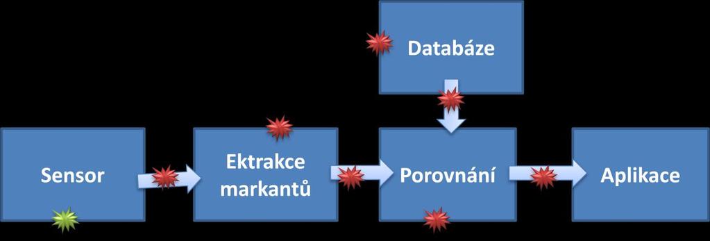 charakteristických rysů. Například pozice a orientace markantů, což jsou právě charakteristické rysy jako lokální hřebeny a údolní anomálie u otisku prstu.