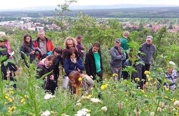Tour de pereny / exkurze, 11. května 2017, Průhonice Po jarních trvalkových výsadbách, s důrazem na pozdně jarní aspekt, provázel účastníky exkurze vynikající český perenář Adam Baroš.