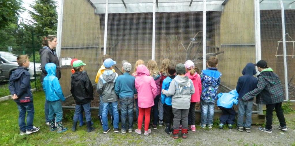 Předposlední týden v měsíci jsme společně se třetí a čtvrtou třídou vyrazili na školu v přírodě na známé místo v Nadějkově.